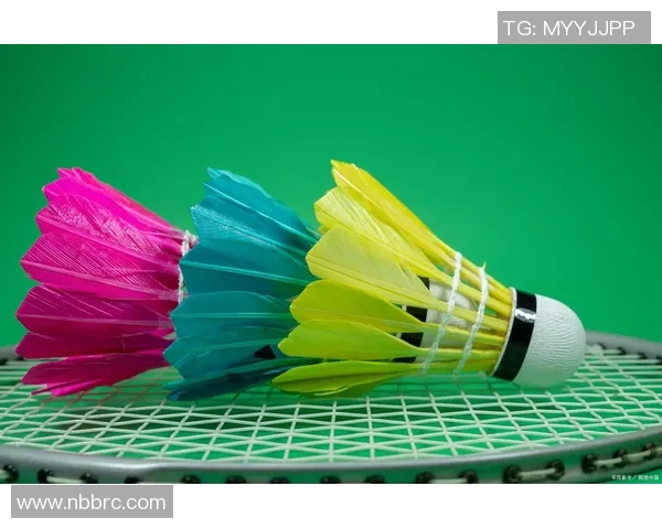 杨丽独家分享羽毛球技巧与心得助你提升竞技水平与乐趣