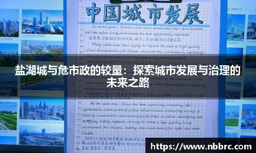 盐湖城与危市政的较量：探索城市发展与治理的未来之路