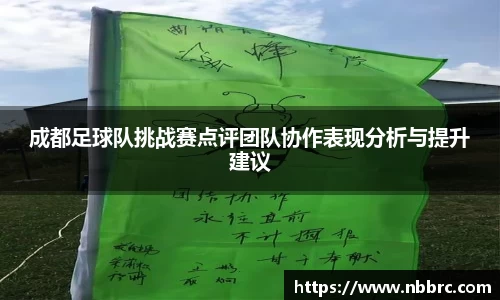 成都足球队挑战赛点评团队协作表现分析与提升建议